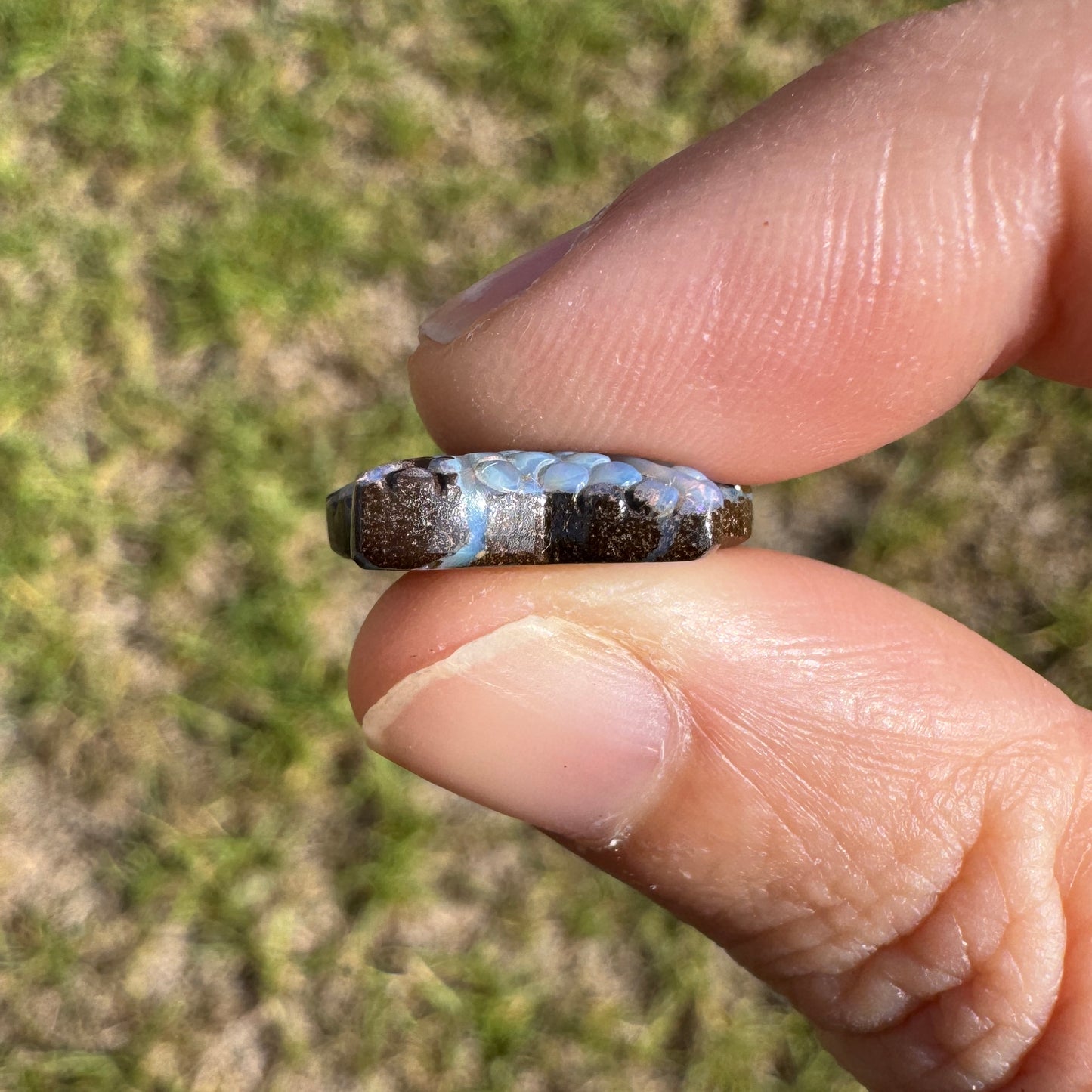 8.54 Ct starfish boulder opal carving