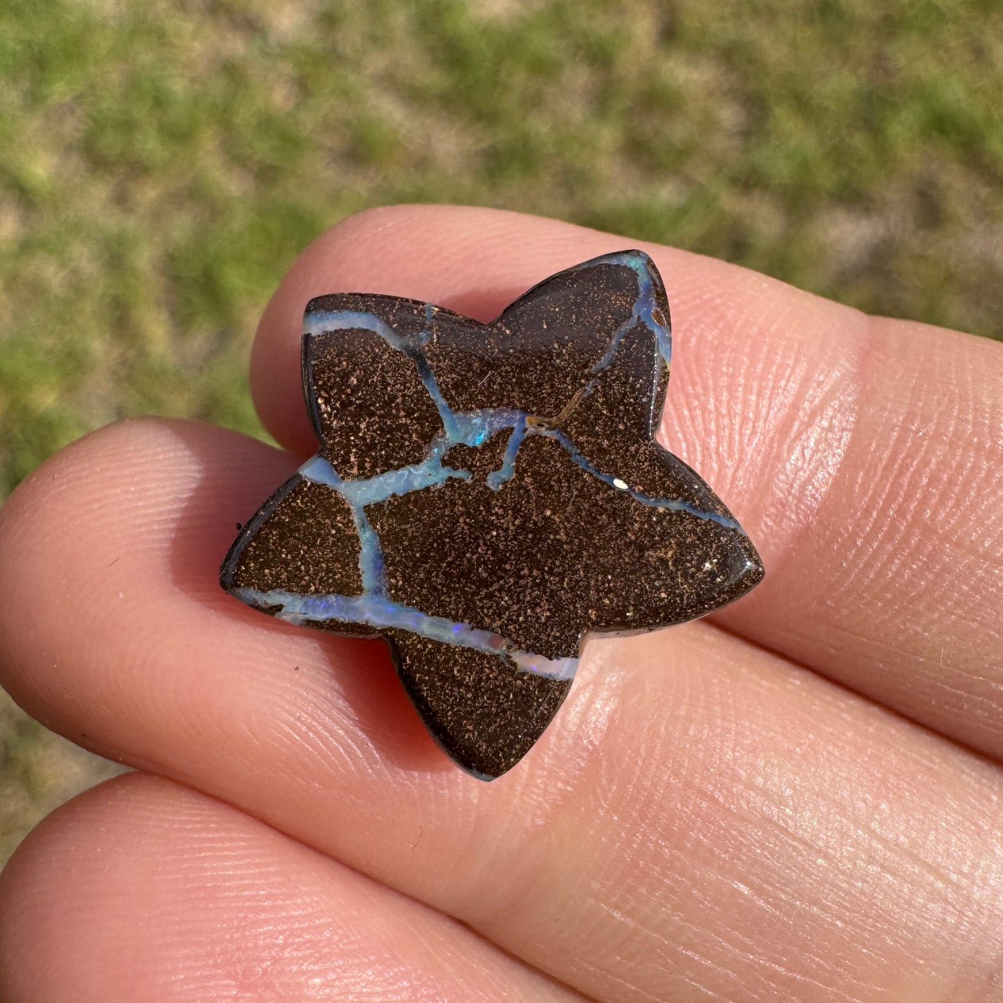 8.54 Ct starfish boulder opal carving