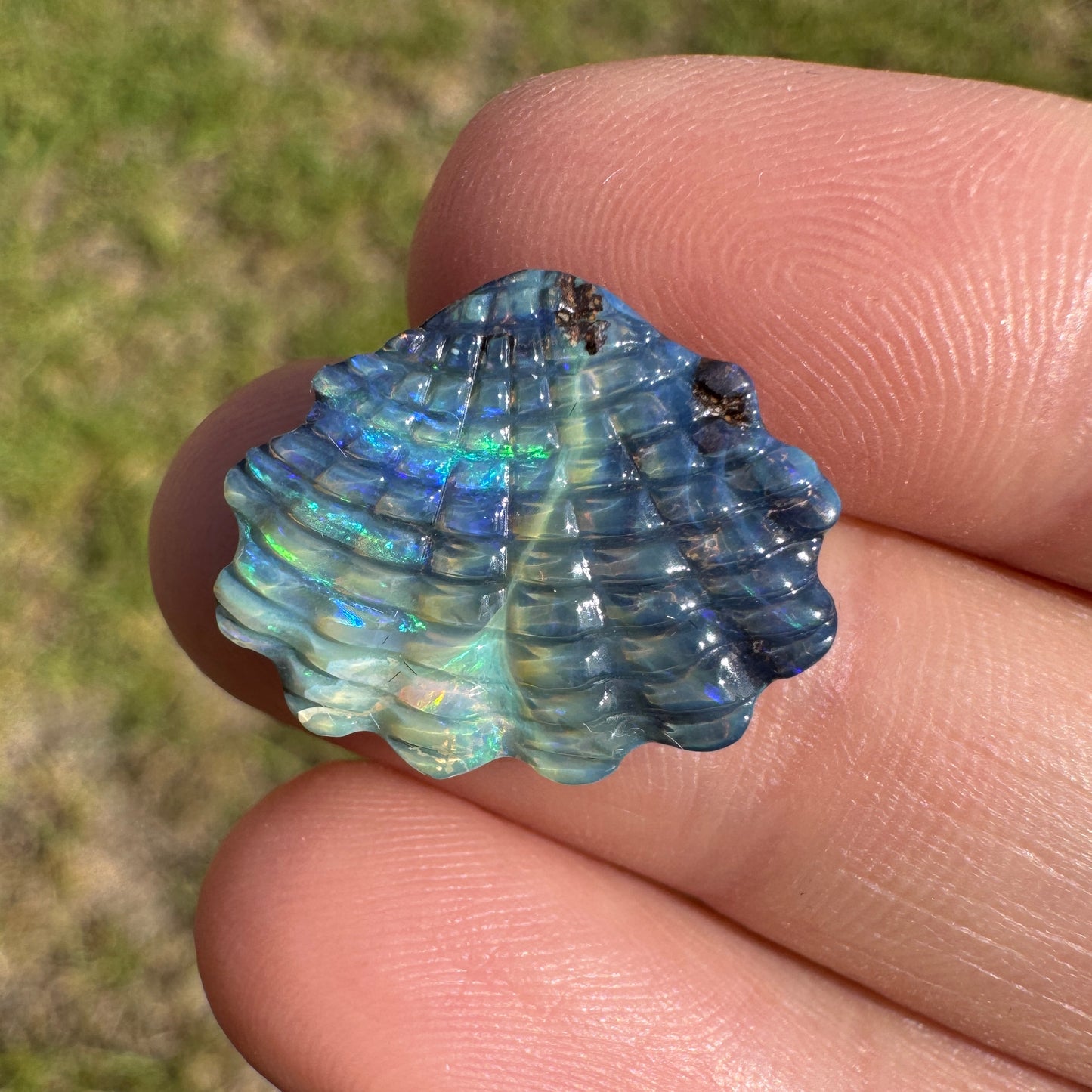 8.42 Ct shell boulder opal carving