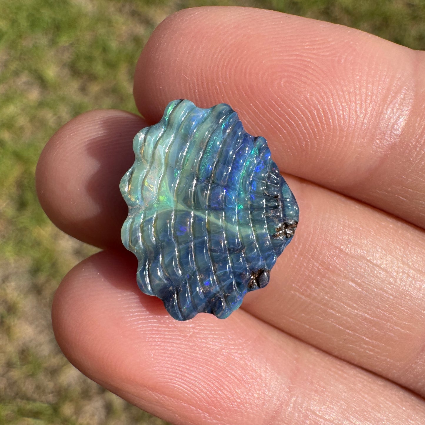 8.42 Ct shell boulder opal carving