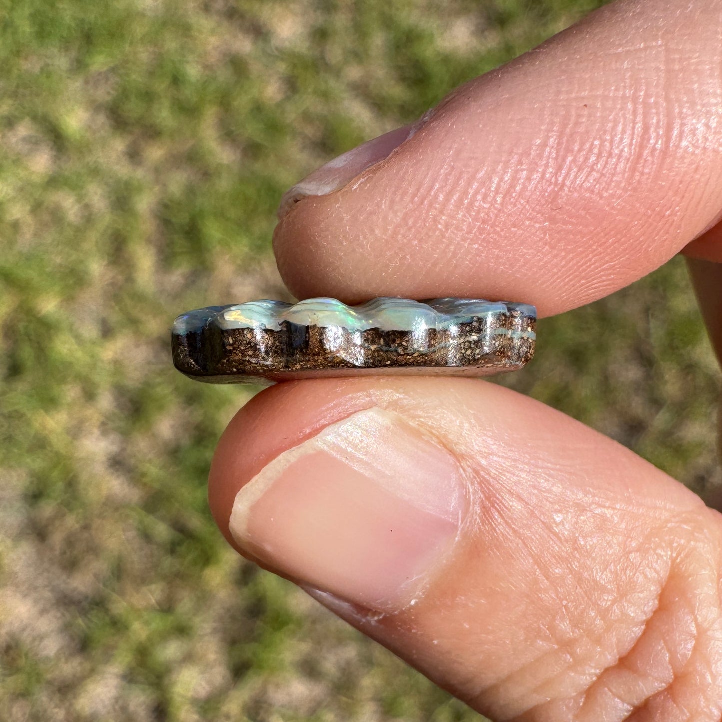 5.94 Ct shell boulder opal carving