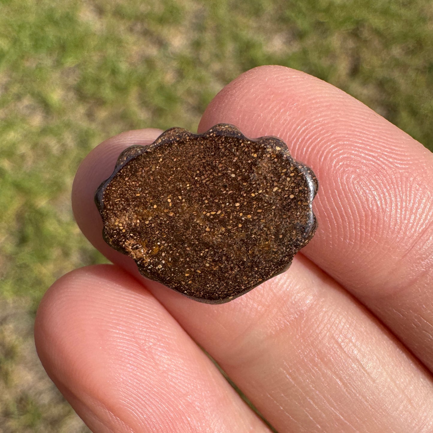 5.94 Ct shell boulder opal carving