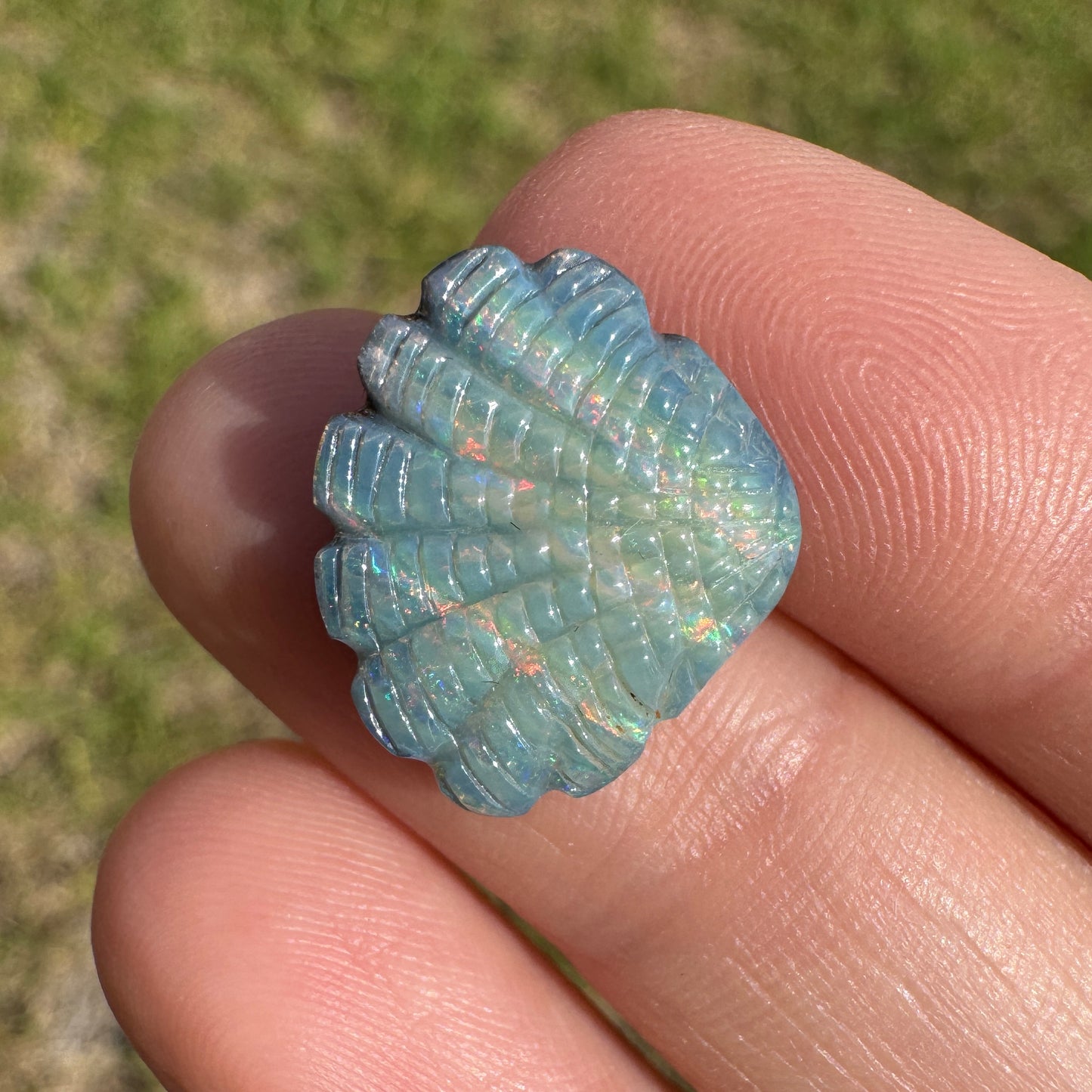 5.94 Ct shell boulder opal carving