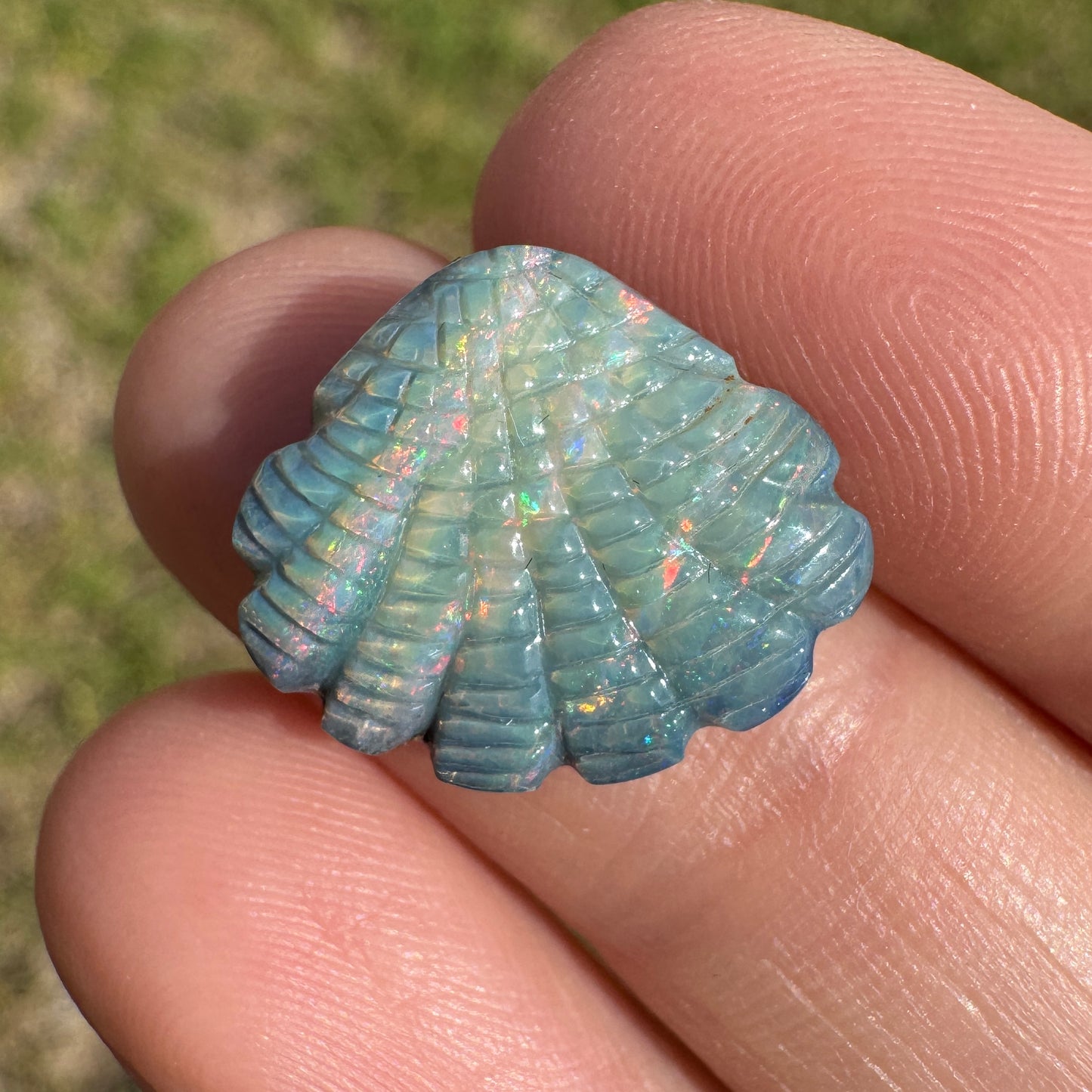 5.94 Ct shell boulder opal carving