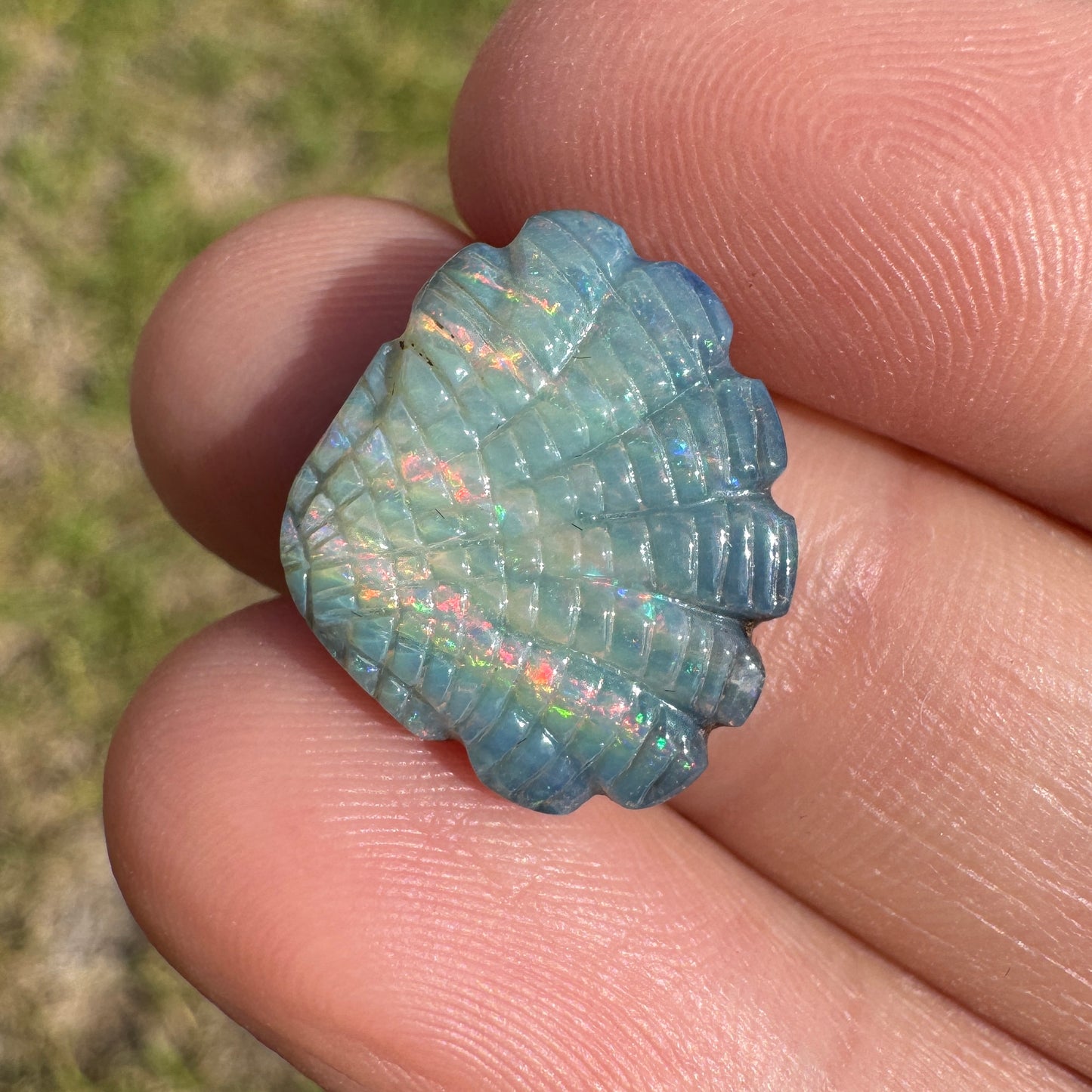 5.94 Ct shell boulder opal carving