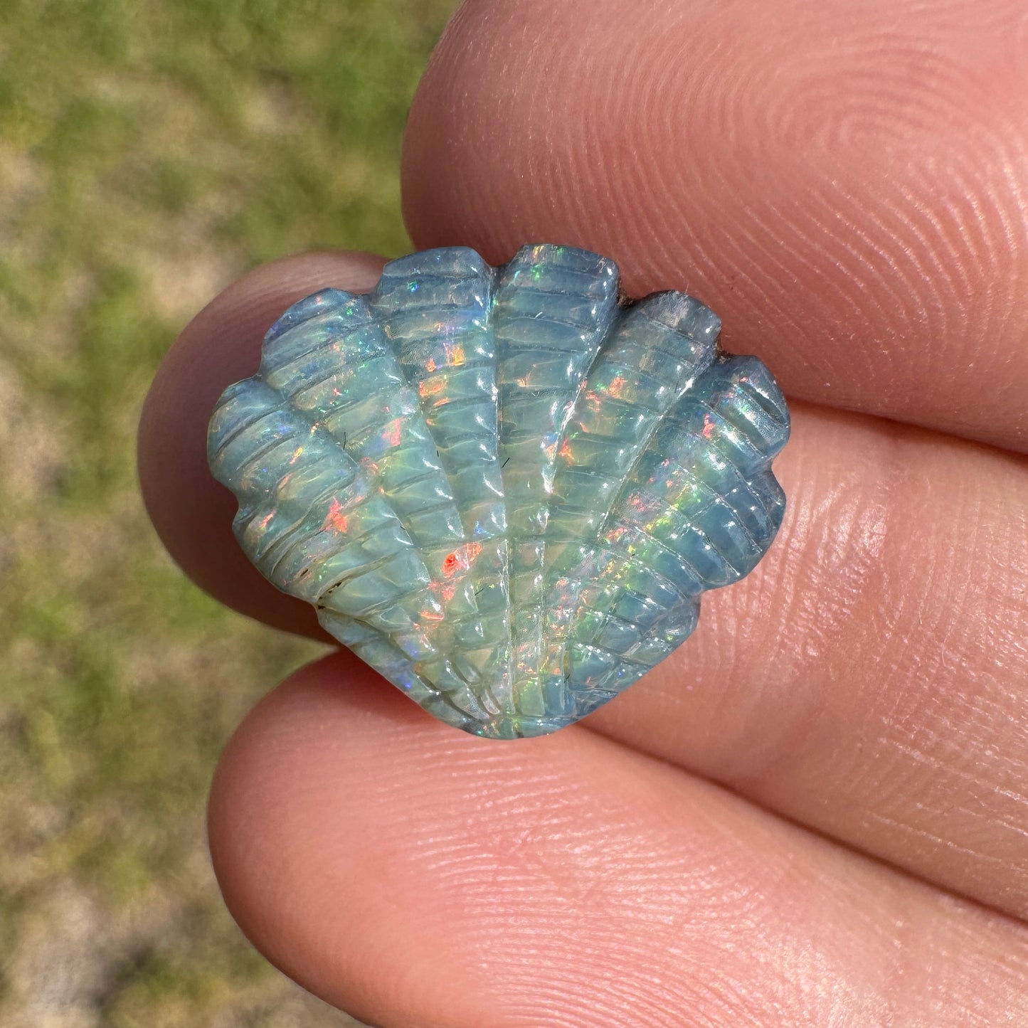 5.94 Ct shell boulder opal carving