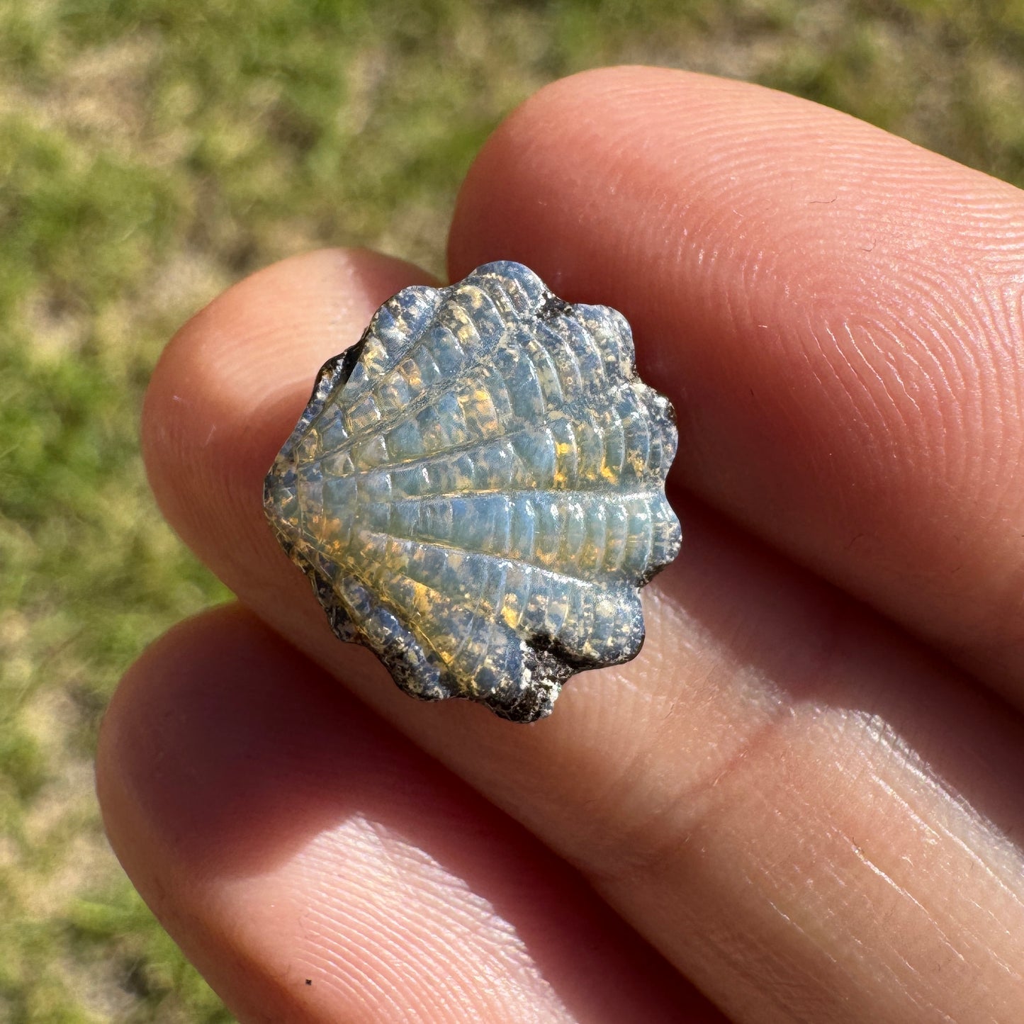 4.58 Ct shell boulder opal carving
