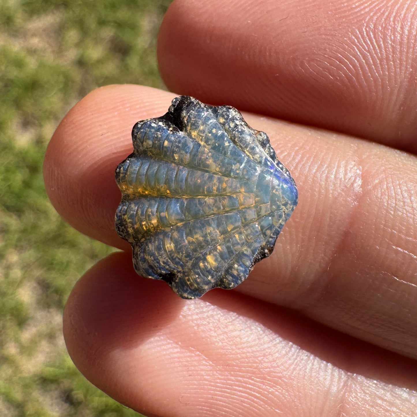 4.58 Ct shell boulder opal carving