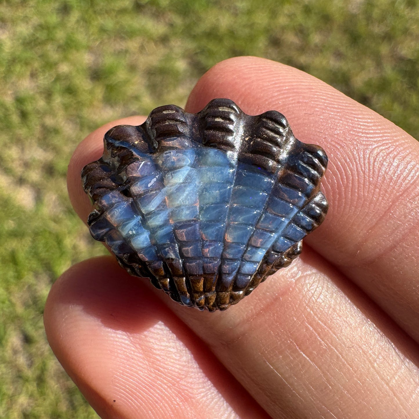 11.56 Ct shell boulder opal carving