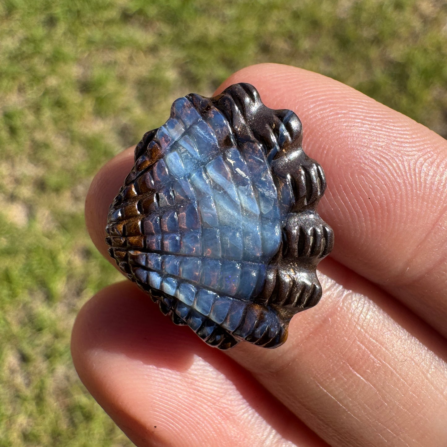 11.56 Ct shell boulder opal carving