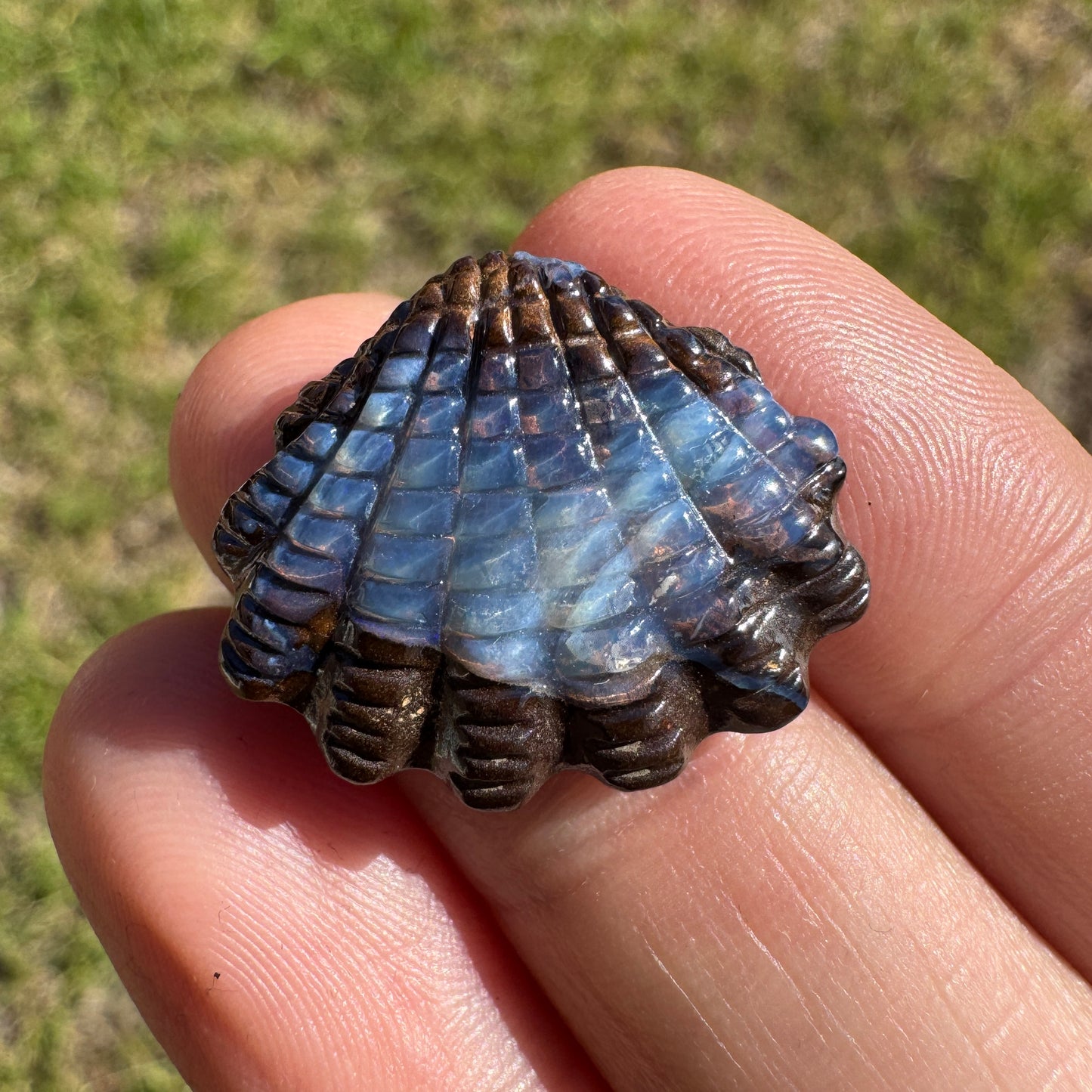 11.56 Ct shell boulder opal carving