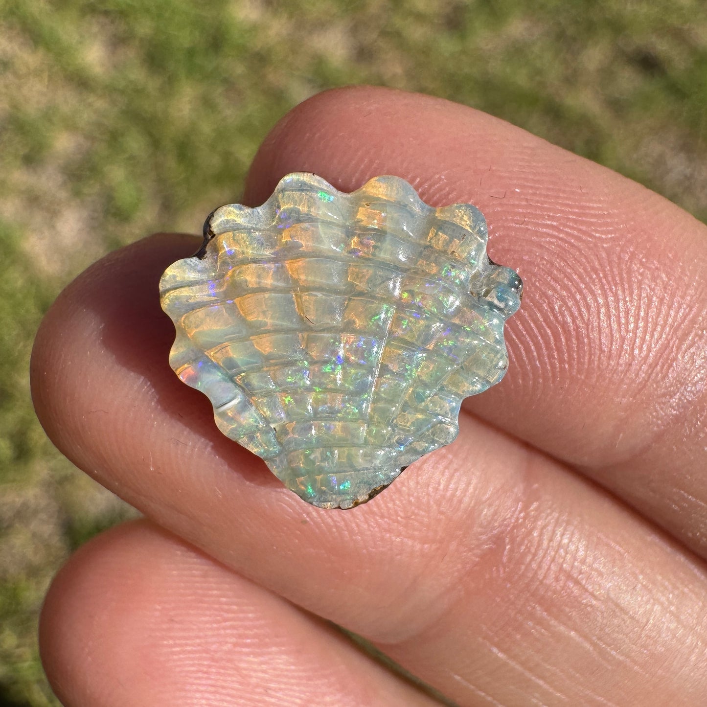 6.74 Ct shell boulder opal carving