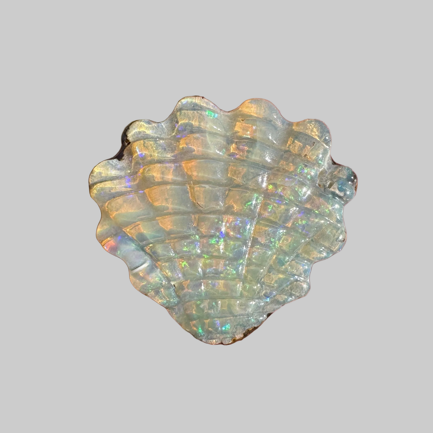 6.74 Ct shell boulder opal carving