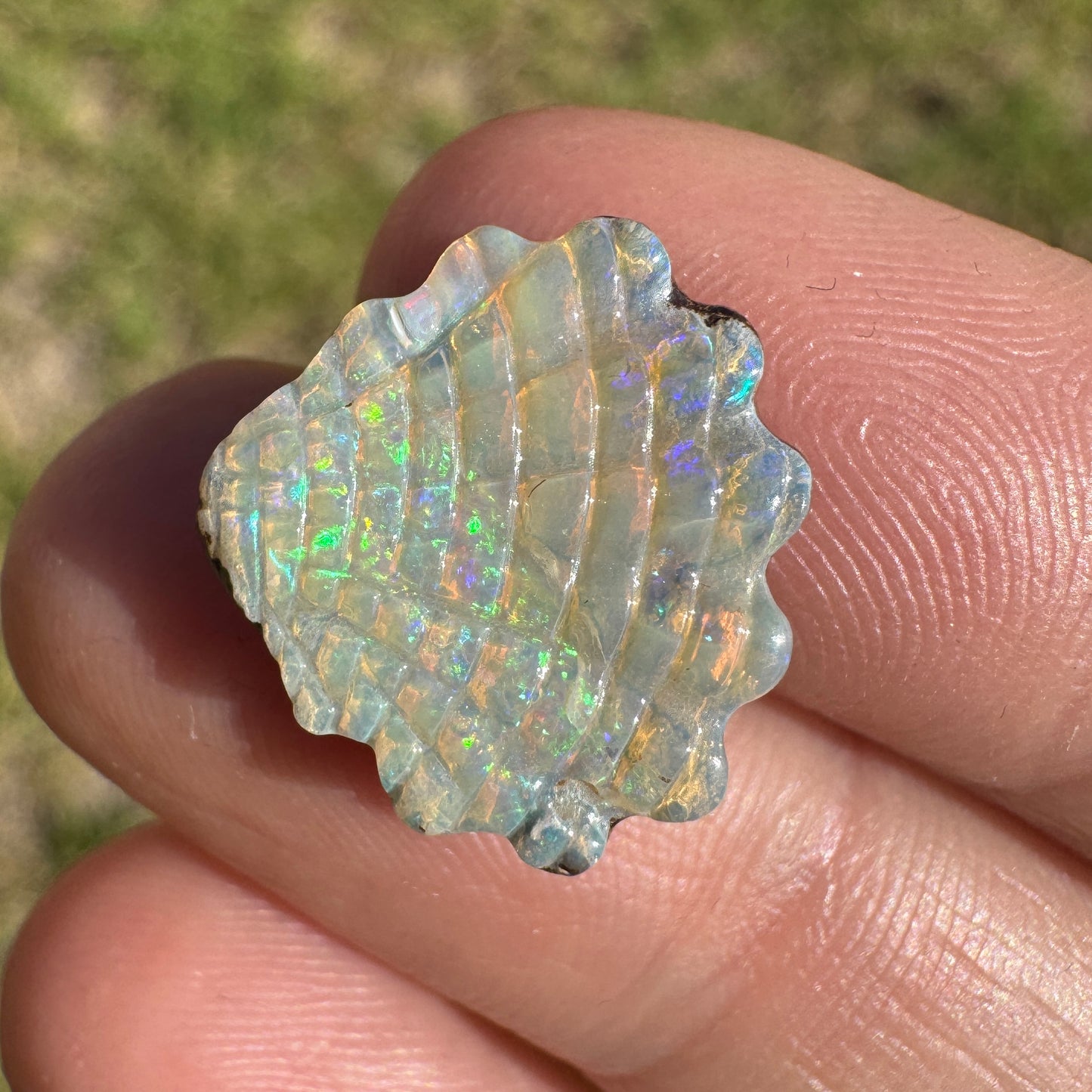 6.74 Ct shell boulder opal carving