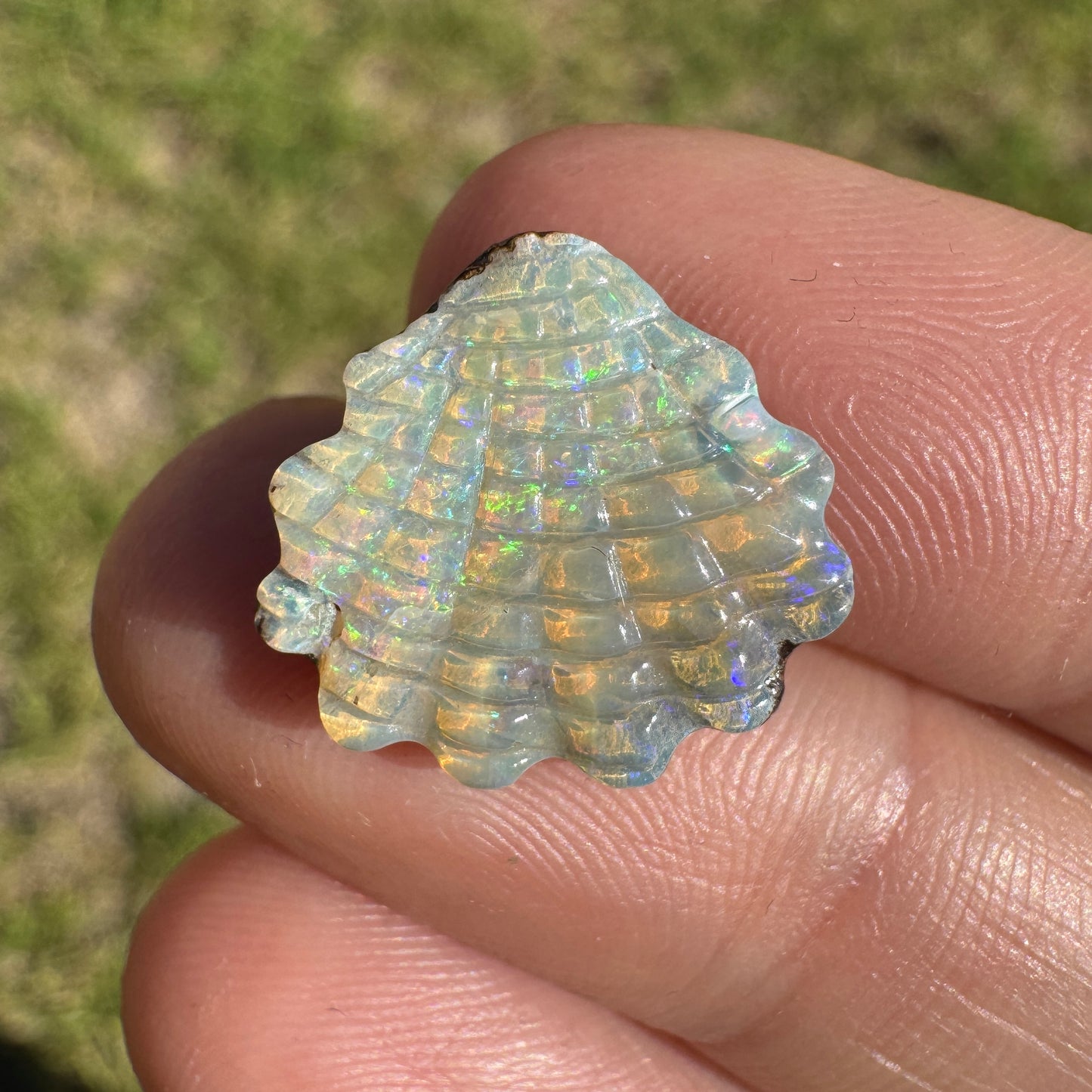 6.74 Ct shell boulder opal carving