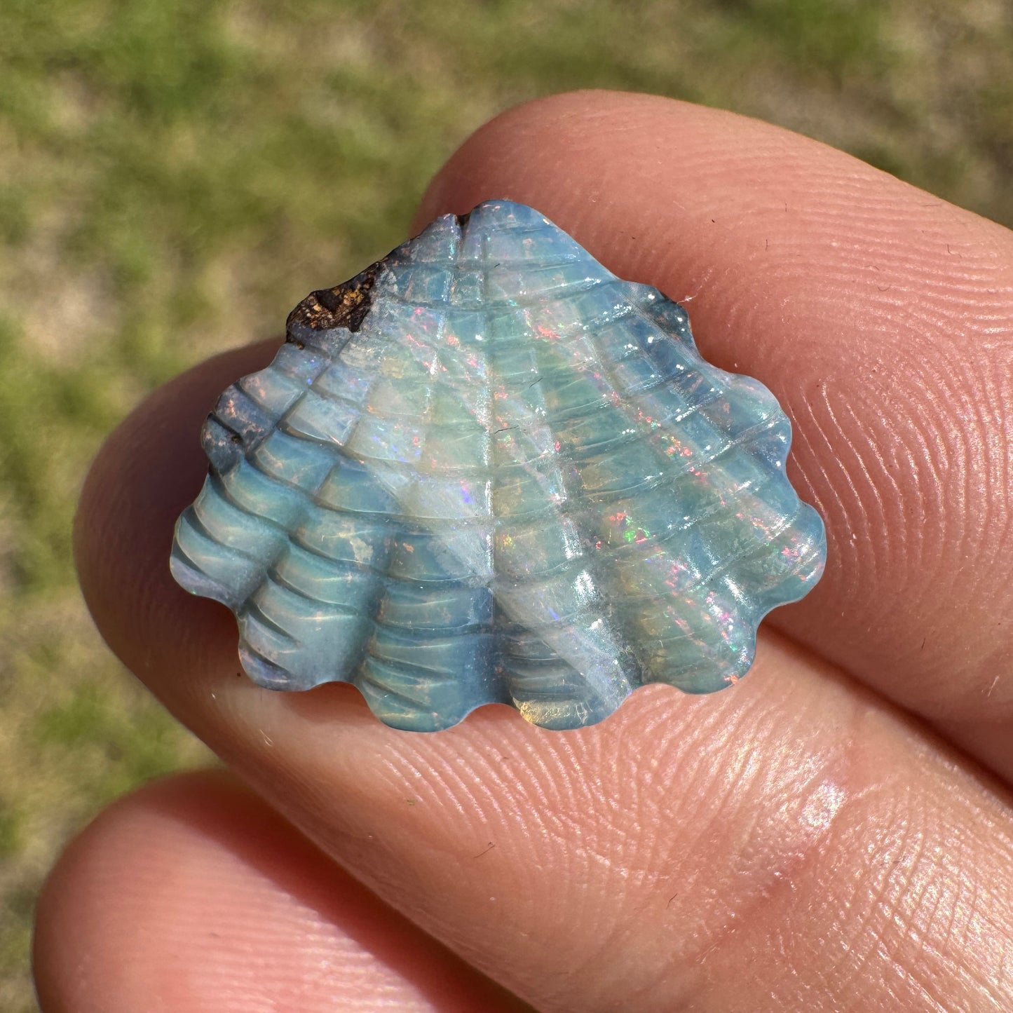 6.83 Ct shell boulder opal carving