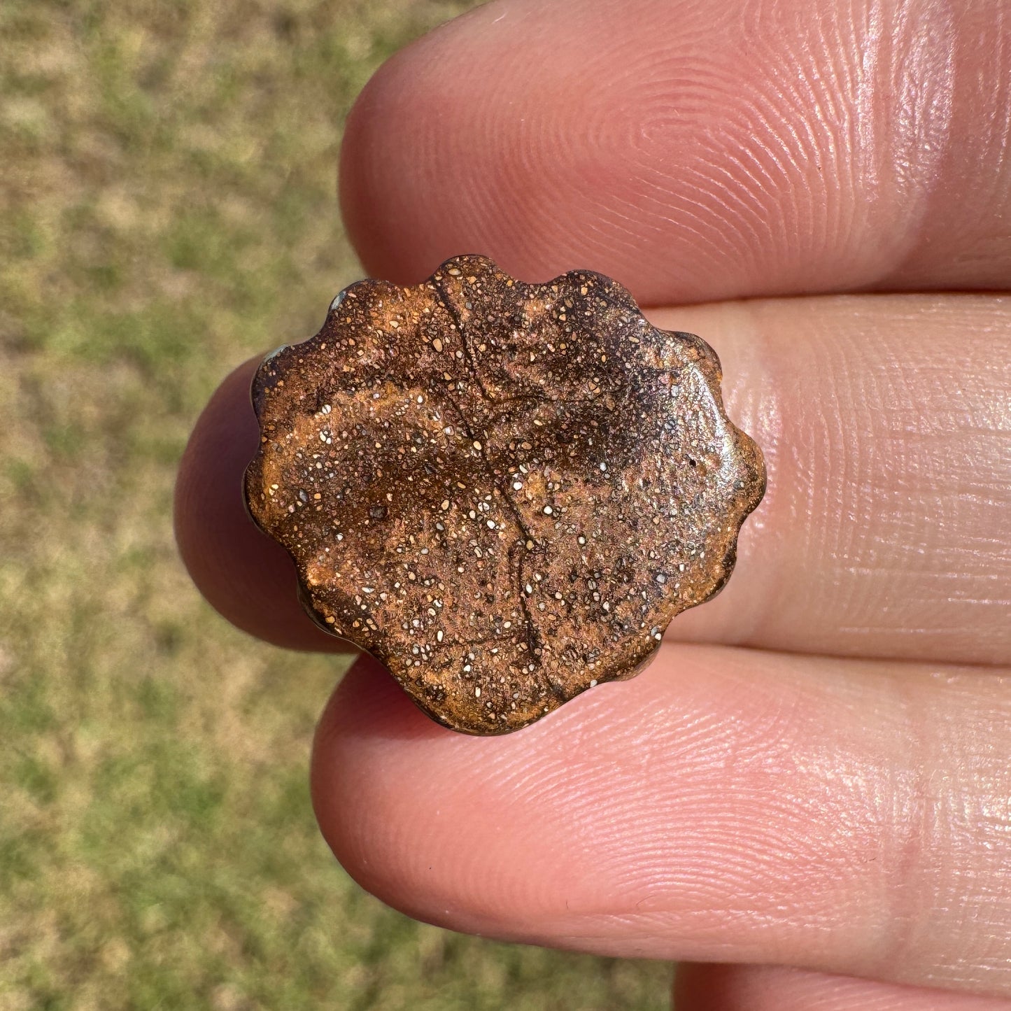10.22 Ct shell boulder opal carving