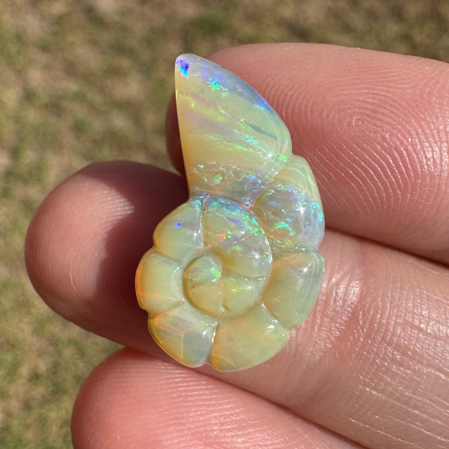 7.12 Ct shell boulder opal carving