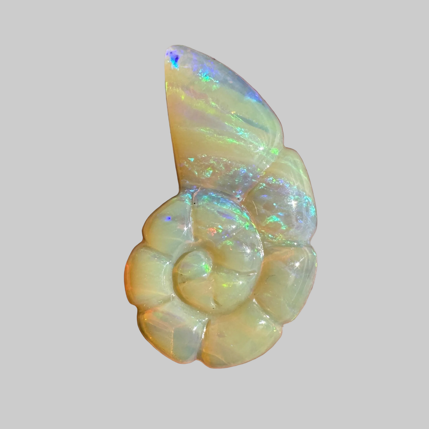 7.12 Ct shell boulder opal carving