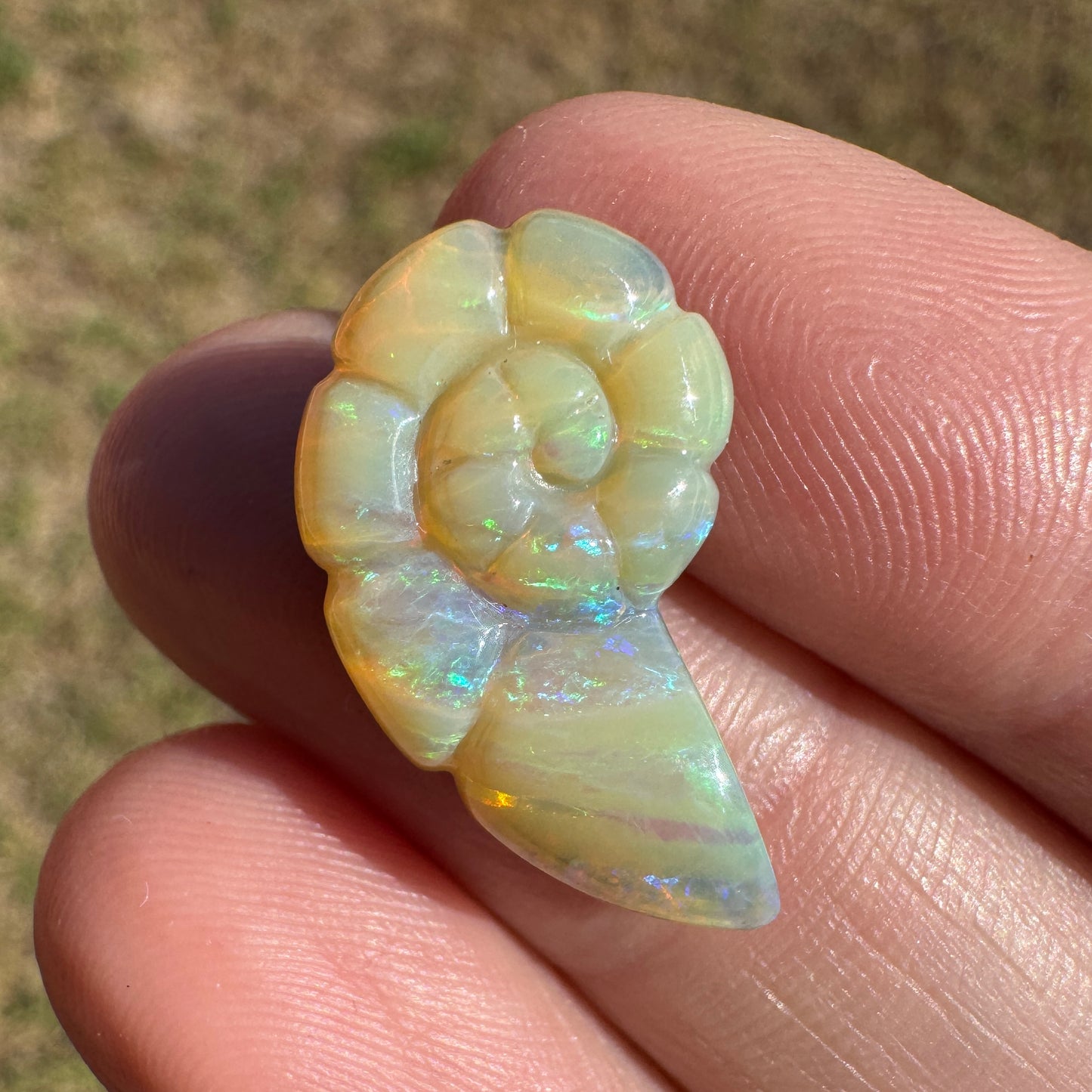 7.12 Ct shell boulder opal carving