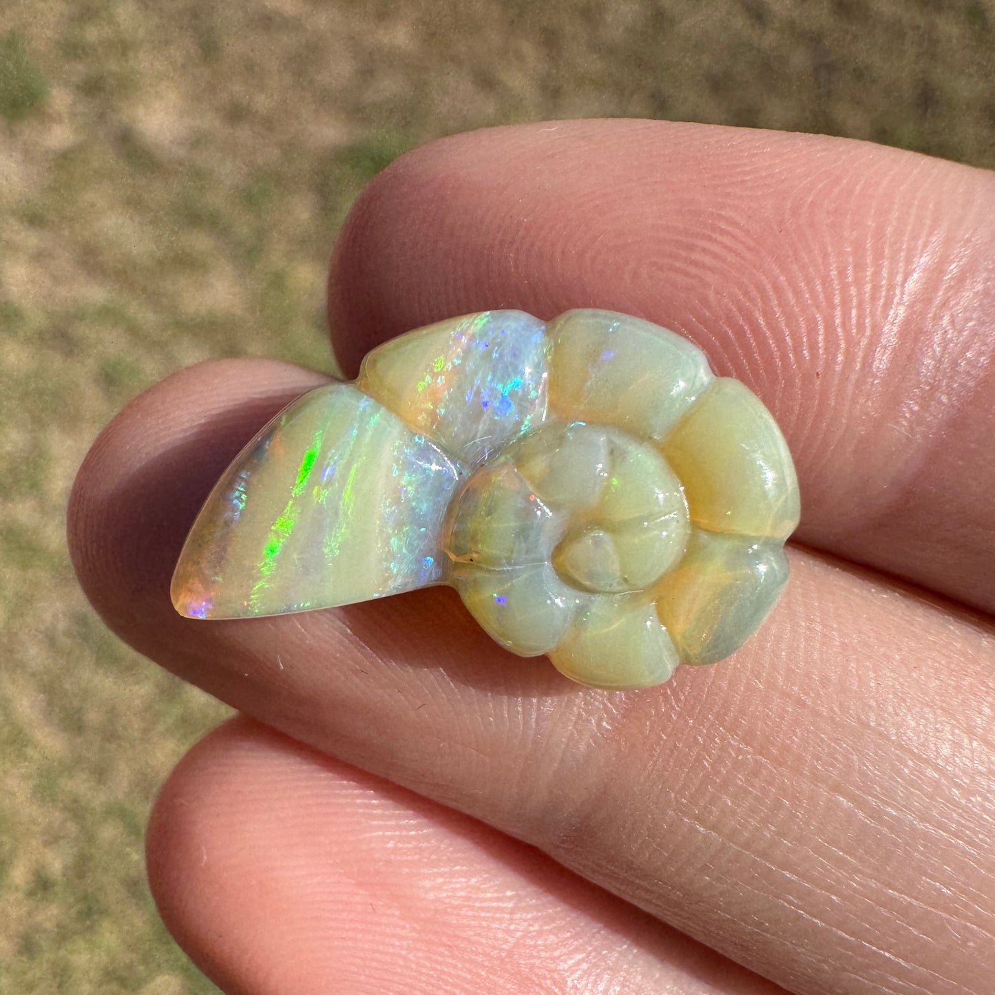 7.12 Ct shell boulder opal carving