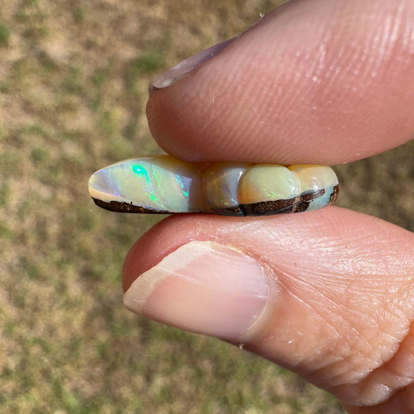 7.12 Ct shell boulder opal carving