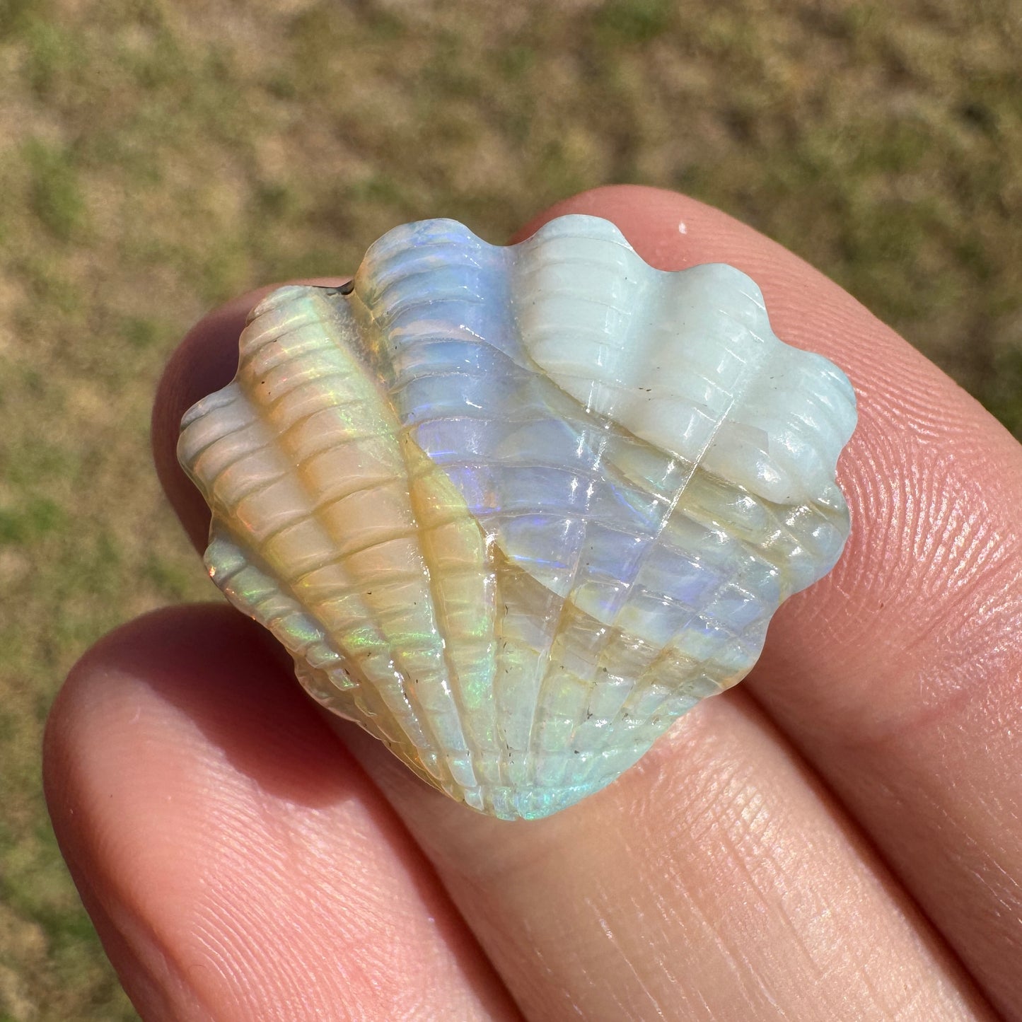 19.92 Ct shell boulder opal carving