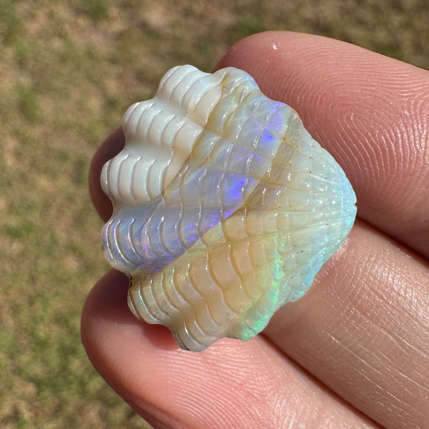 19.92 Ct shell boulder opal carving