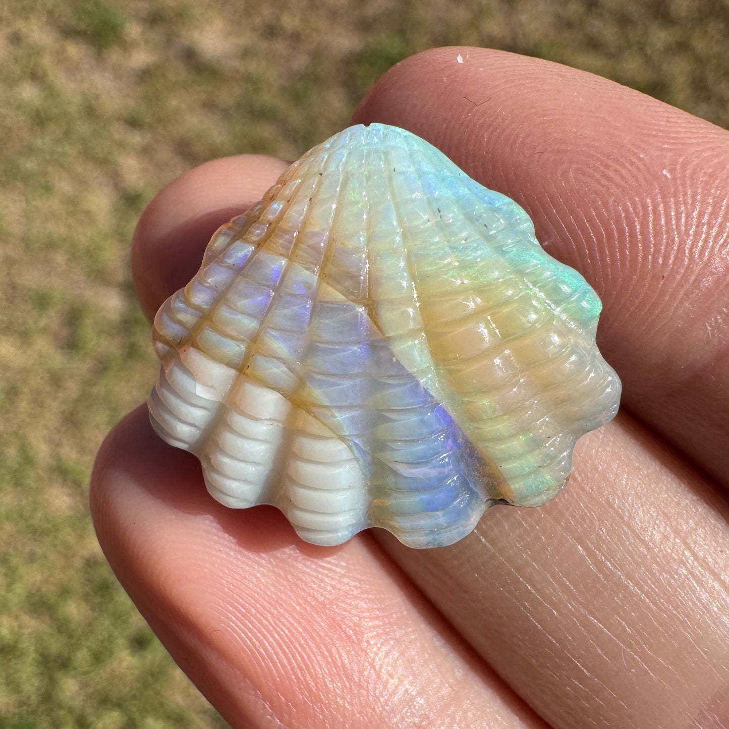 19.92 Ct shell boulder opal carving