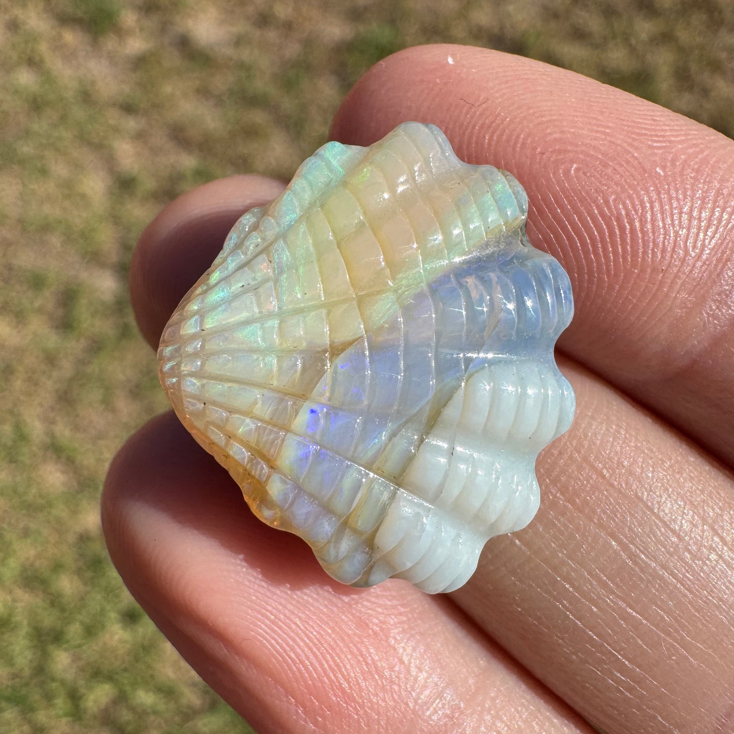 19.92 Ct shell boulder opal carving