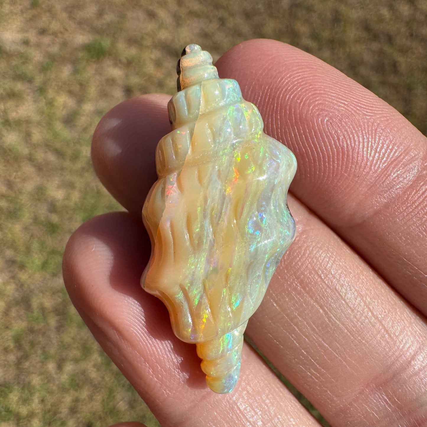 19.50 Ct shell boulder opal carving