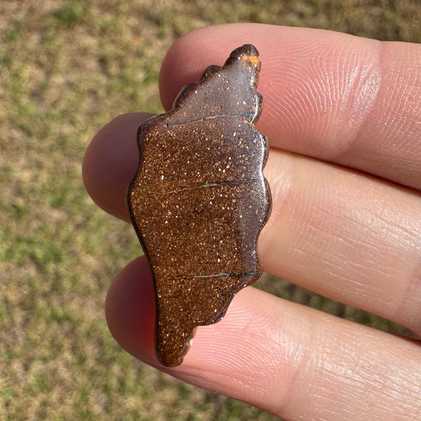 19.50 Ct shell boulder opal carving
