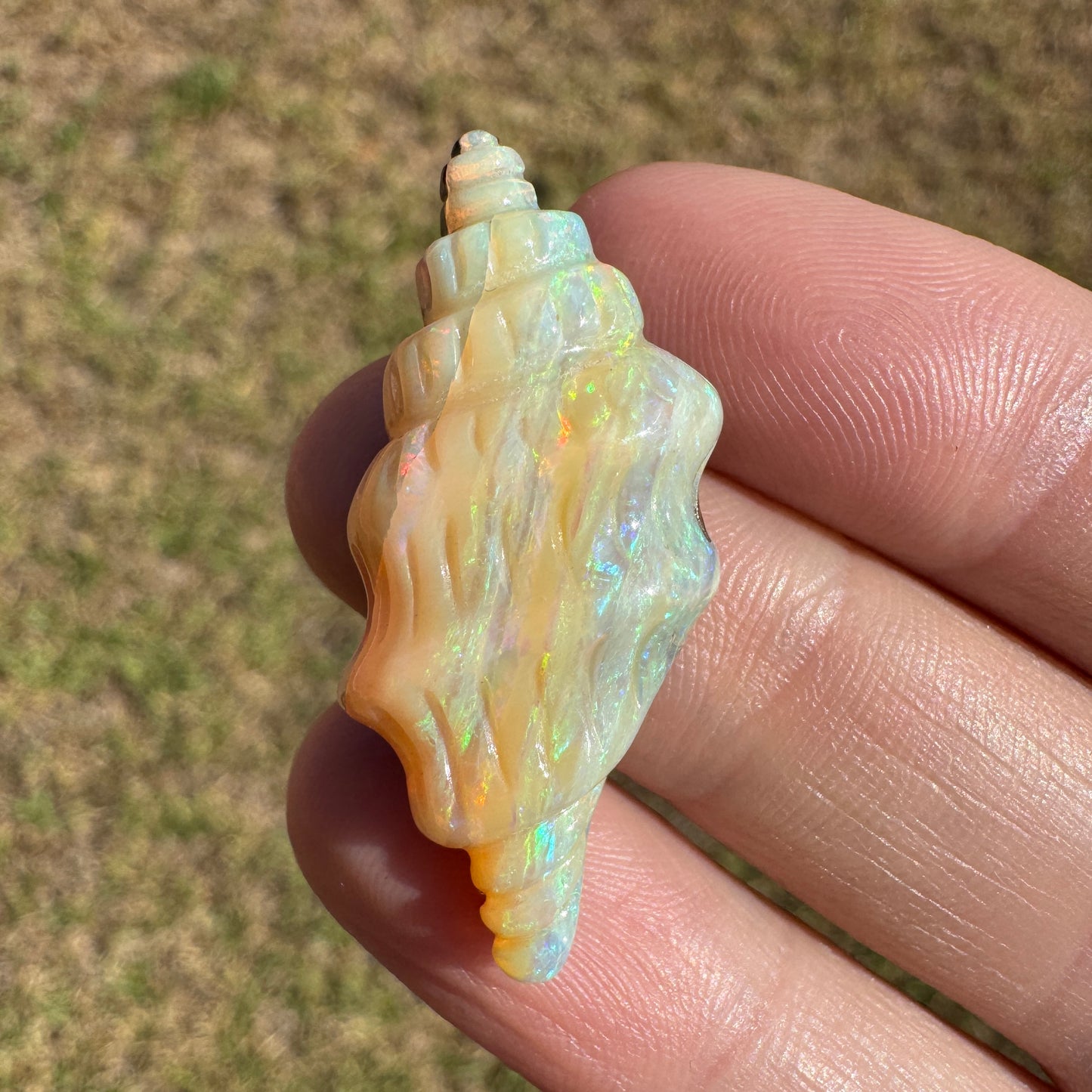 19.50 Ct shell boulder opal carving