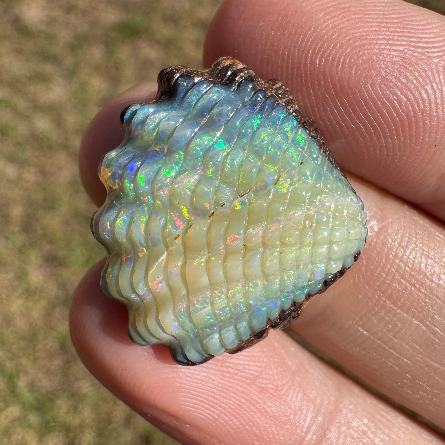 18.18 Ct shell boulder opal carving