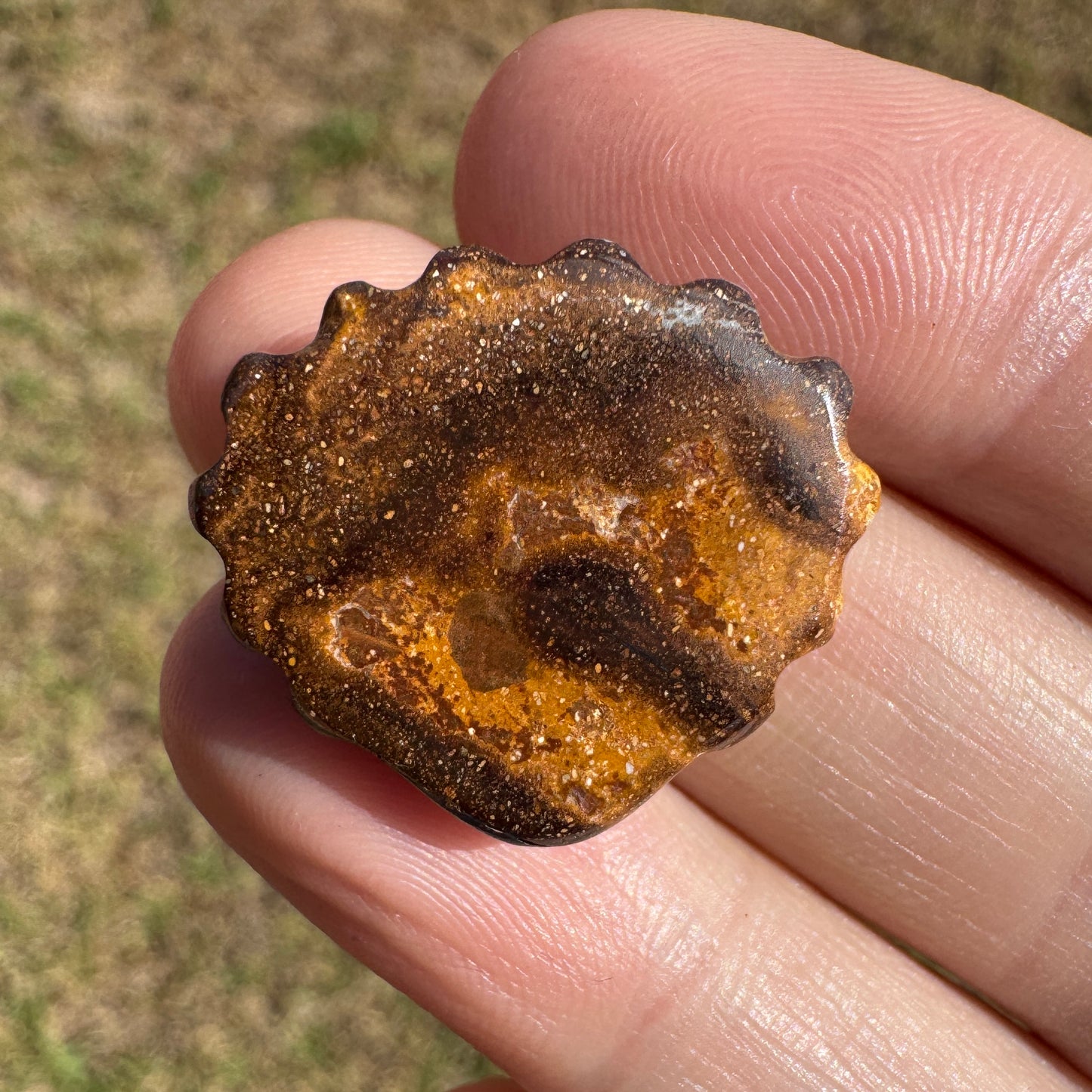 18.18 Ct shell boulder opal carving