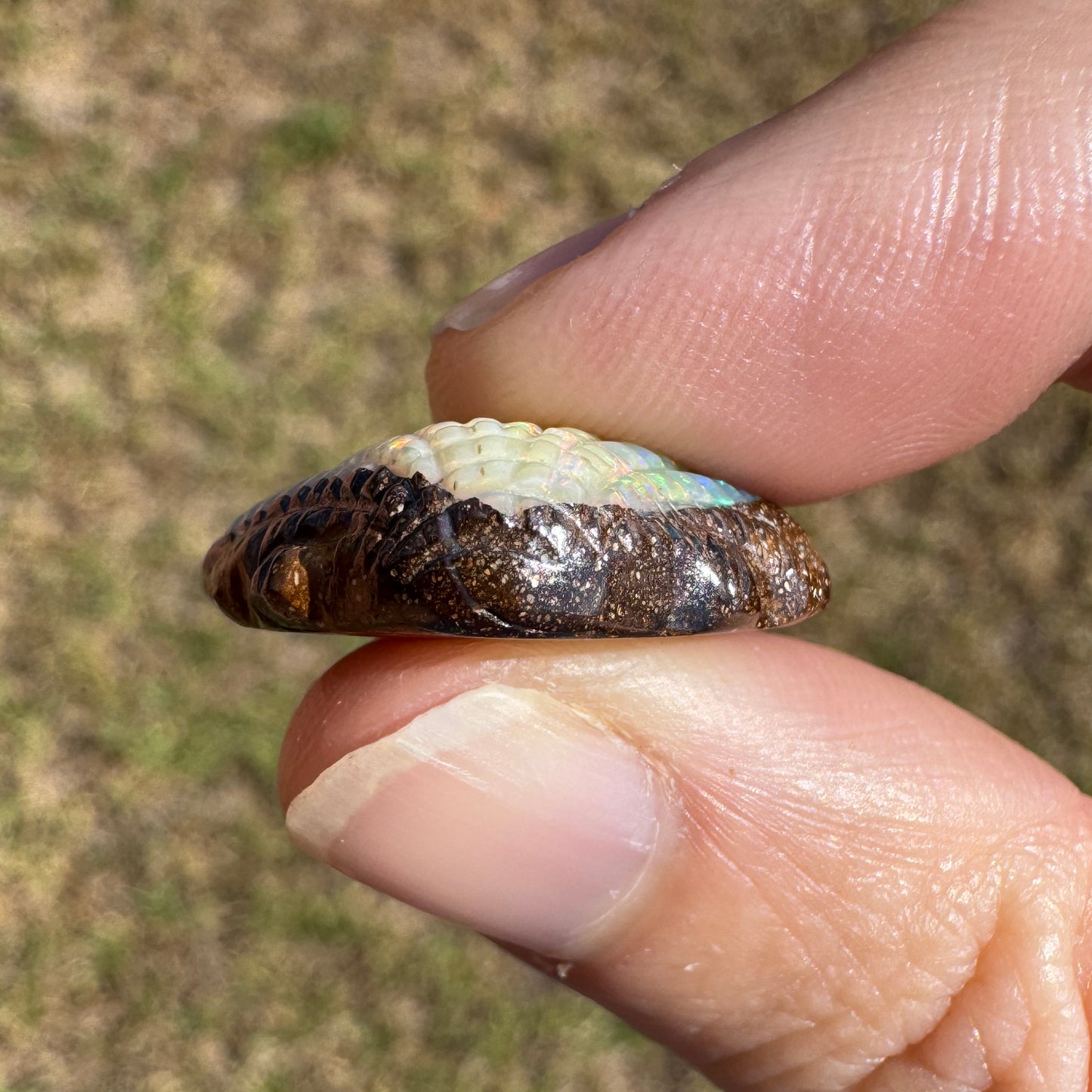 18.18 Ct shell boulder opal carving