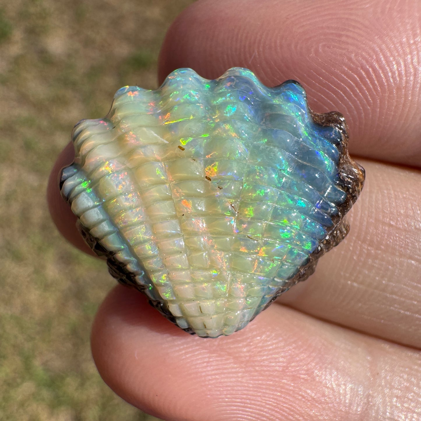 18.18 Ct shell boulder opal carving