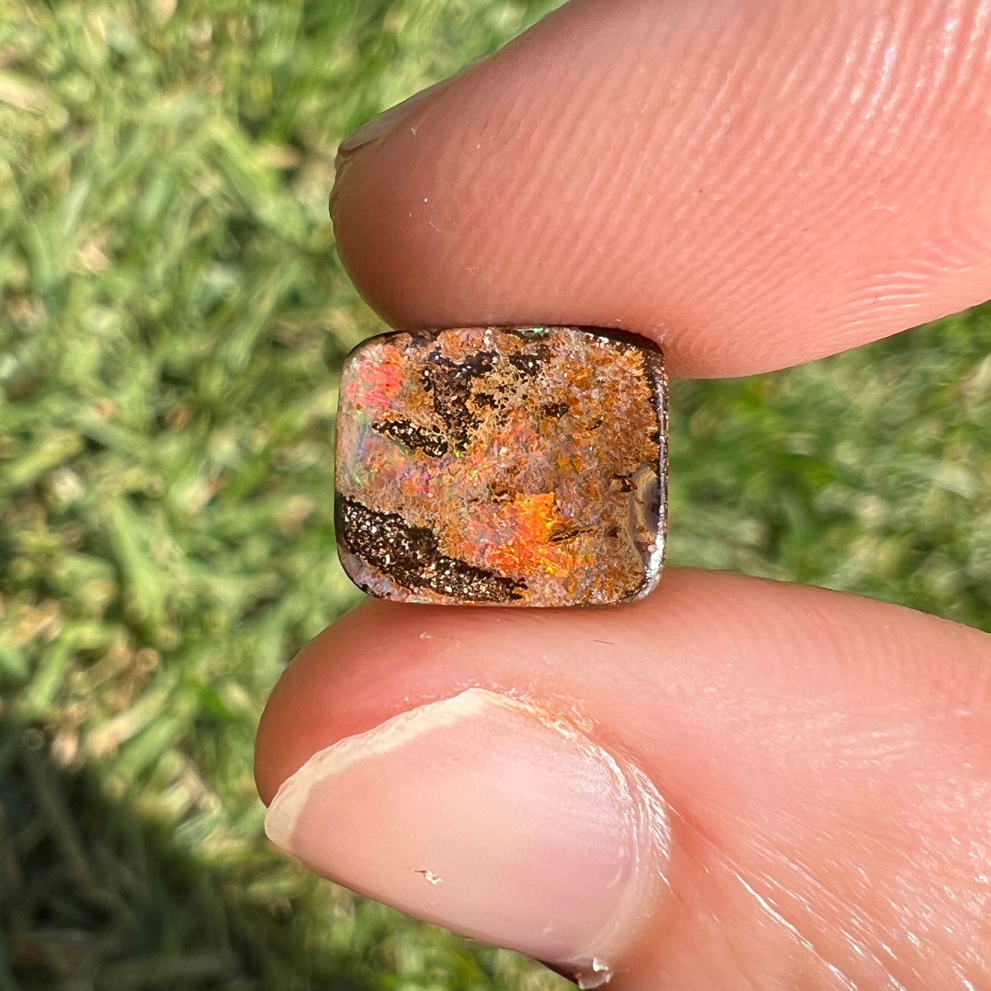 3.01 Ct small boulder opal