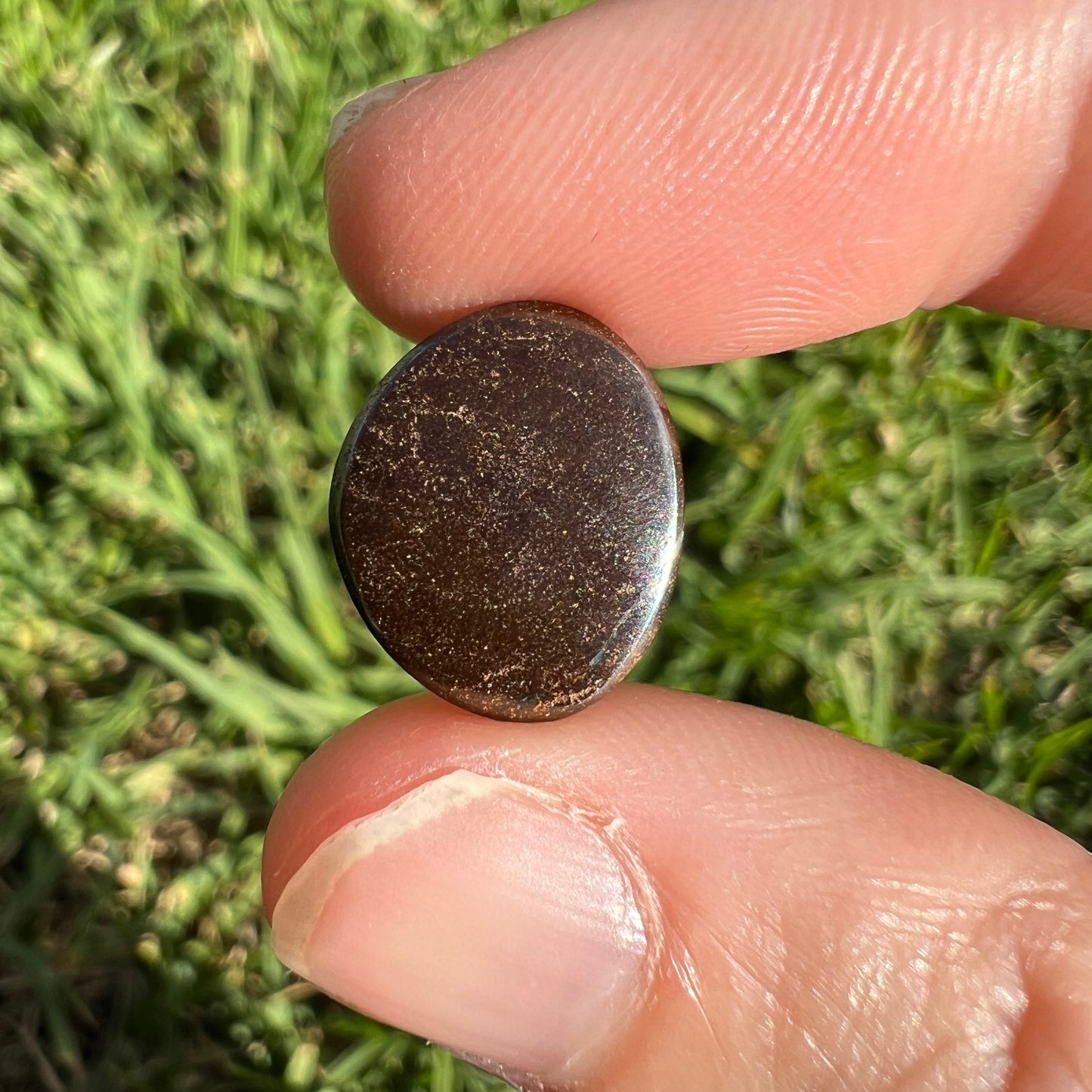 6.50 Ct free-form boulder opal