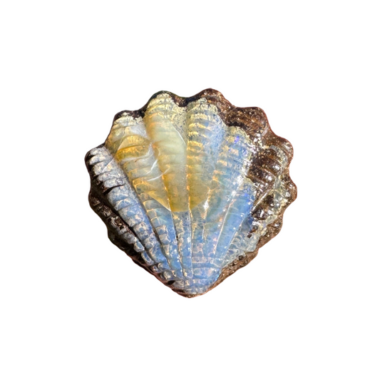 9.12 Ct fan shell boulder opal carving